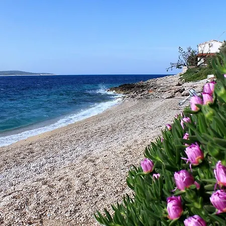 Zavala 8710b Apartment Jelsa (Hvar)